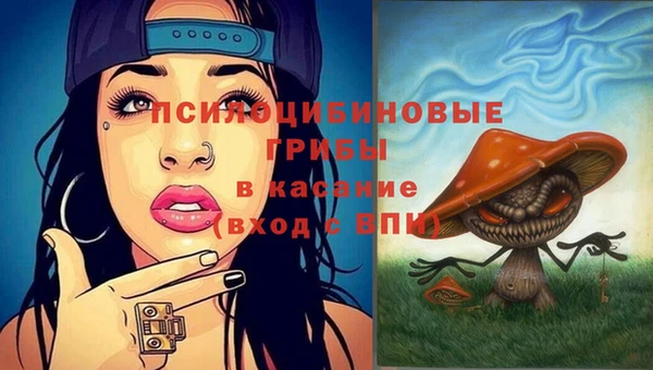 твердый Абинск