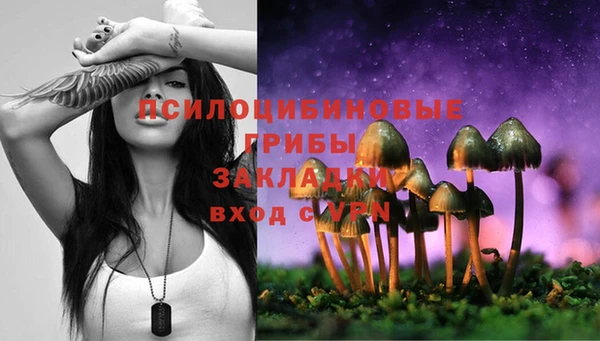 твердый Абинск