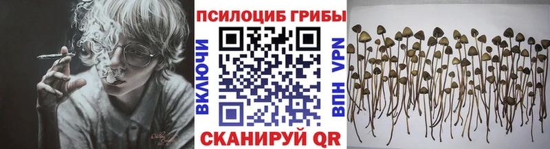 Галлюциногенные грибы GOLDEN TEACHER  ссылка на мегу ССЫЛКА  Рыльск  магазин продажи наркотиков 